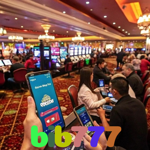 bib777