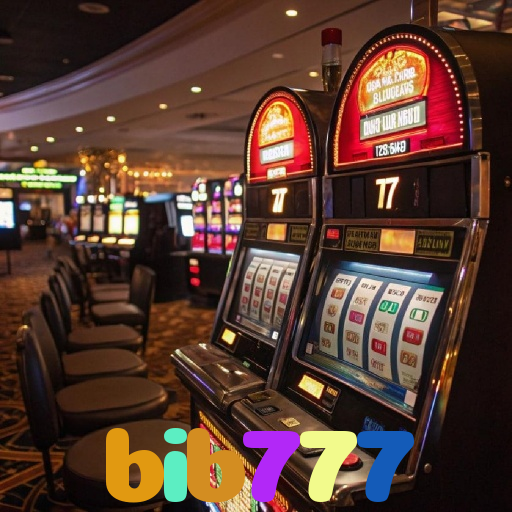 bib777