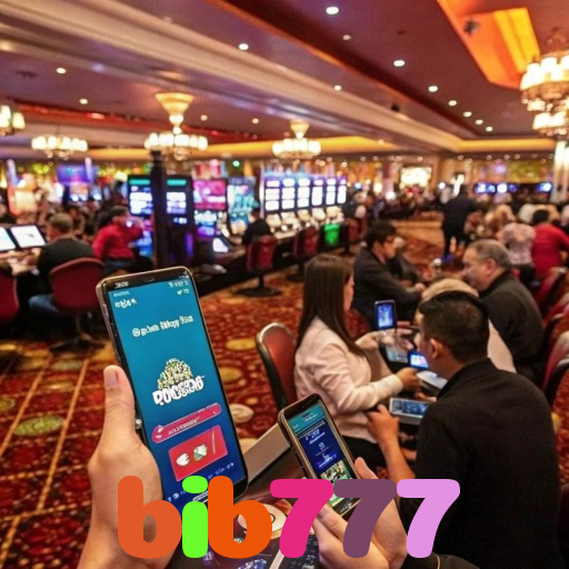 bib777