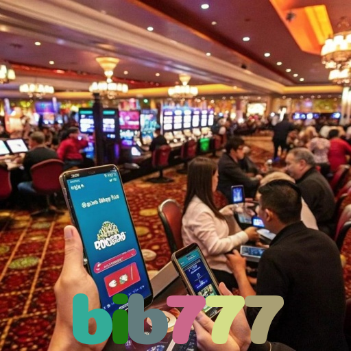 bib777