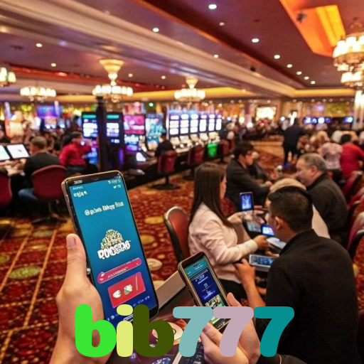 bib777