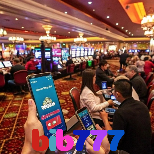 bib777