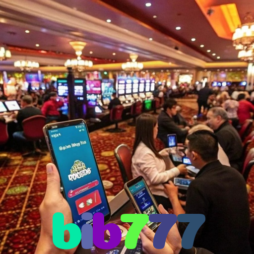 bib777