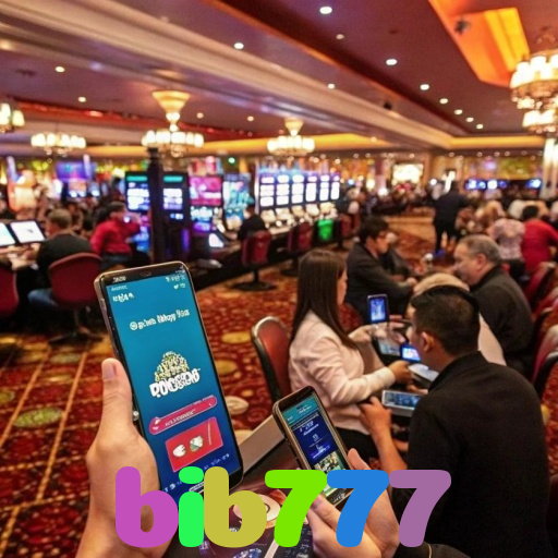 bib777
